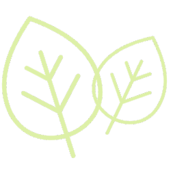 leaf icons (3)